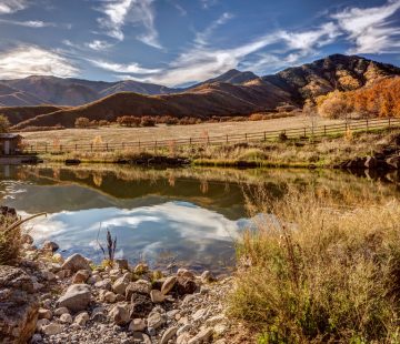 rustic-landscape